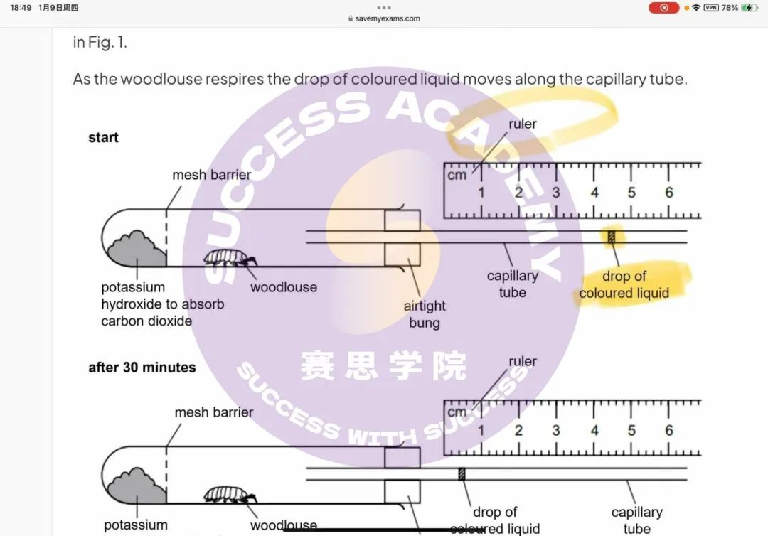 M25将迎来IB化学改革后的首考，复习重点应该放在哪里？