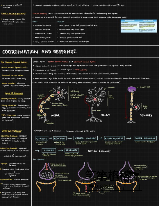 IGCSE生物考点笔记来啦，A*学霸分享~