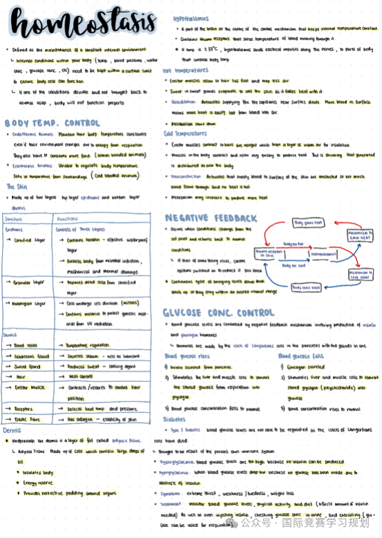 IGCSE生物学霸核心笔记，IG生物A*就靠它！