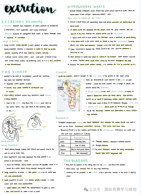 IGCSE生物学霸核心笔记，IG生物A*就靠它！