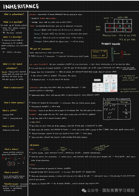 IGCSE生物学霸核心笔记，IG生物A*就靠它！