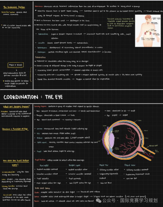 IGCSE生物学霸核心笔记，IG生物A*就靠它！
