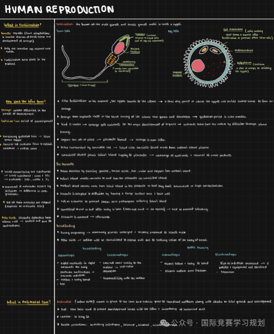 IGCSE生物学霸核心笔记，IG生物A*就靠它！