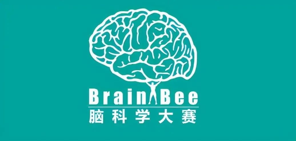 BrainBee脑科学大赛小白攻略！从零基础到晋！一文玩转2026赛季脑科学大赛~