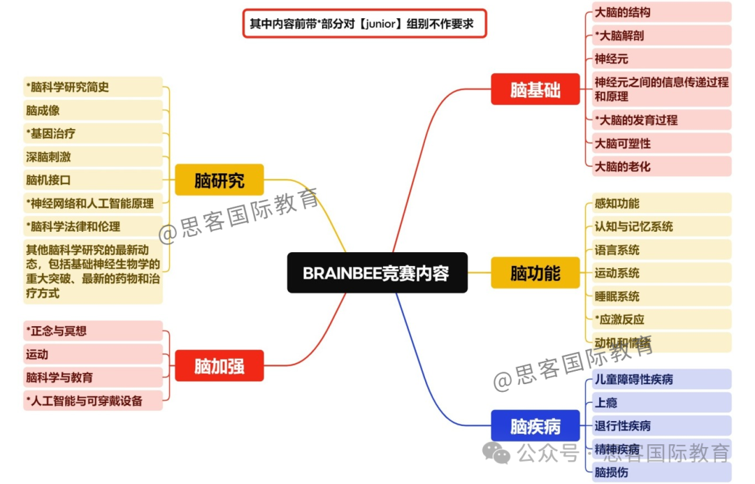 BrainBee脑科学大赛小白攻略！从零基础到晋！一文玩转2026赛季脑科学大赛~