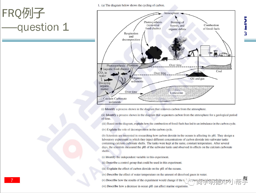 2025AP环境科学冲刺必备｜考纲与重难点梳理