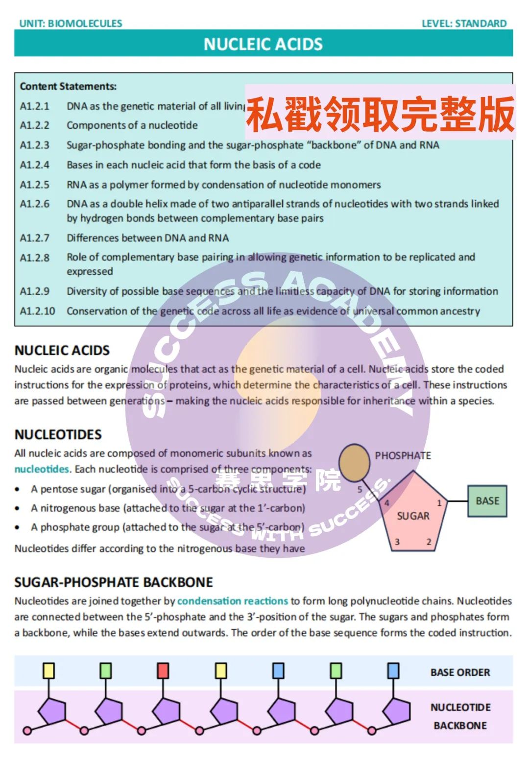 有人忙碌有人已躺平？IB老师告诉你最后一学期如何复习！