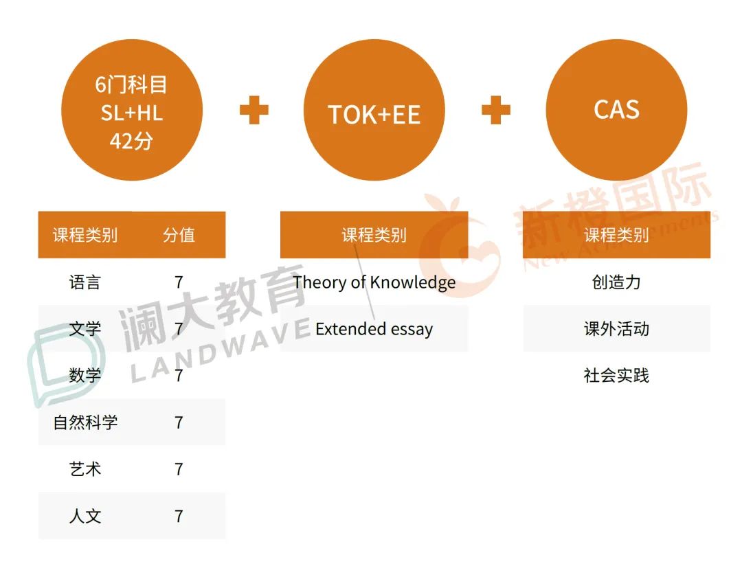 国际学校春秋招必看！IB课程该不该选？未来5年改革变化……