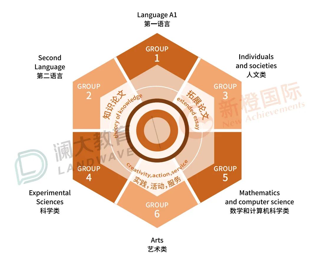 国际学校春秋招必看！IB课程该不该选？未来5年改革变化……