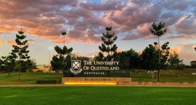 2025山东大学1+3澳大利亚昆士兰大学定向班
