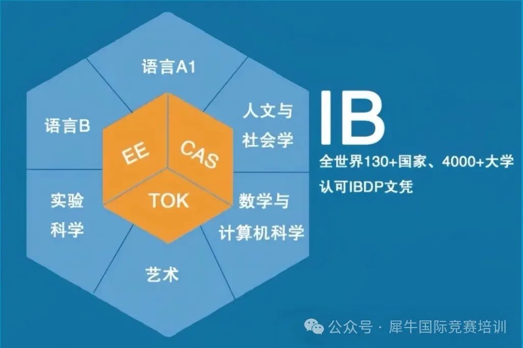 公认最难” 的IB课程到底学些什么，哪些学生适合IB课程？一文带你了解IB课程是什么！