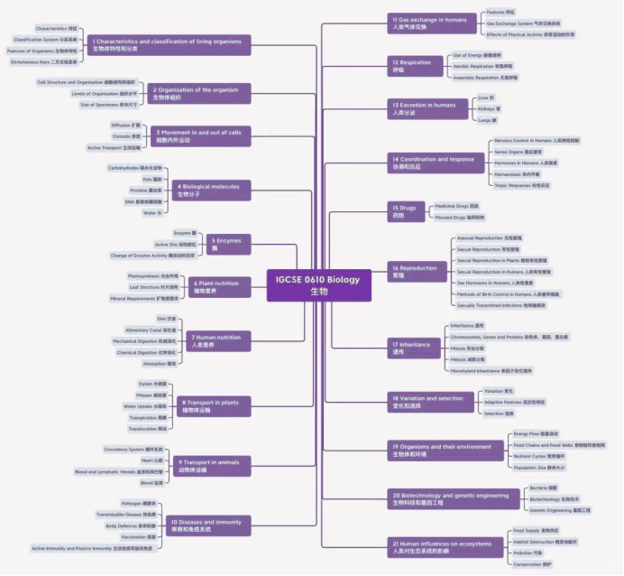 有变动？CIE考局 IG生/物/化三门科学更新2026年考纲，数字化考试改革加速！