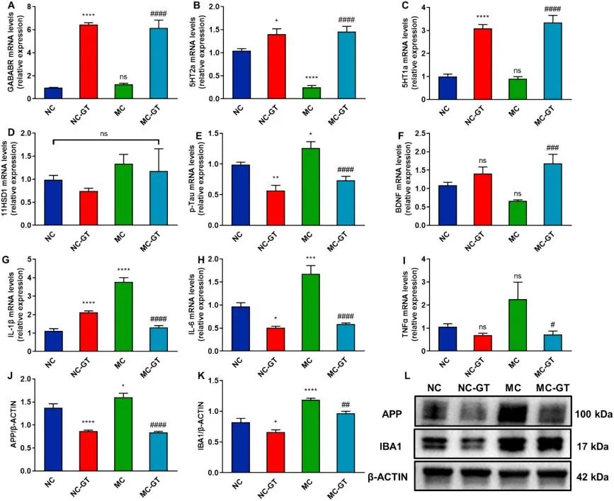 绿茶竟能抗抑郁？Phytotherapy Research：长期喝绿茶能有效改善抑郁样行为和认知功能，关键是这一机制！
