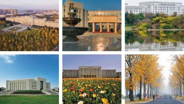 2025年电子科技大学“工程商学”2+2国际本科/3+1国际硕士留学项目招生简章