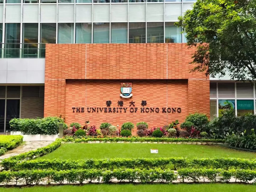 港大2025录取趋势解码