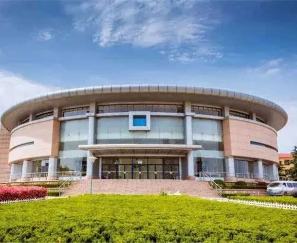 2025青岛大学3+1国际本科项目