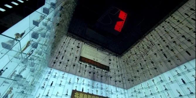 2025年北京电影学院2+2国际本科项目招生简章