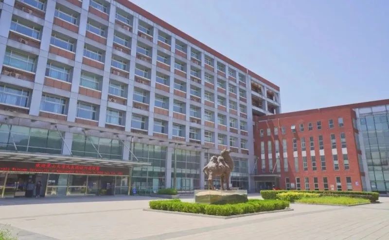 2025首都经济贸易大学1+3英澳新国际本科项目