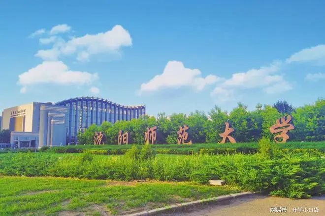 2025高考升学-国际本科4+0（计划外）项目学校汇总