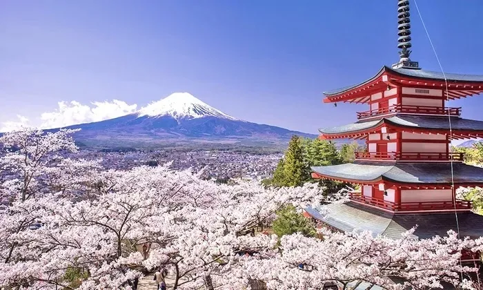 上海日本高中预备班｜上海耀华古北日本艺术设计方向预备课程2025年招生简章！日本素描基础+日语双提升