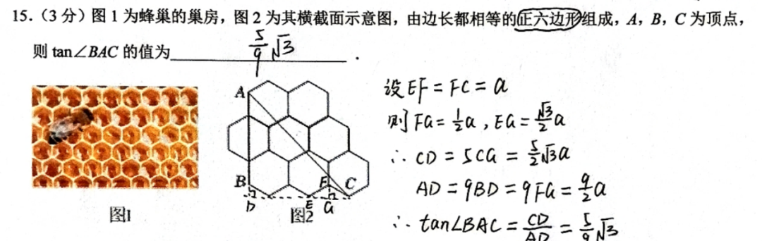 余杭临平2025年中考数学一模卷子详解，中考冲刺建议！