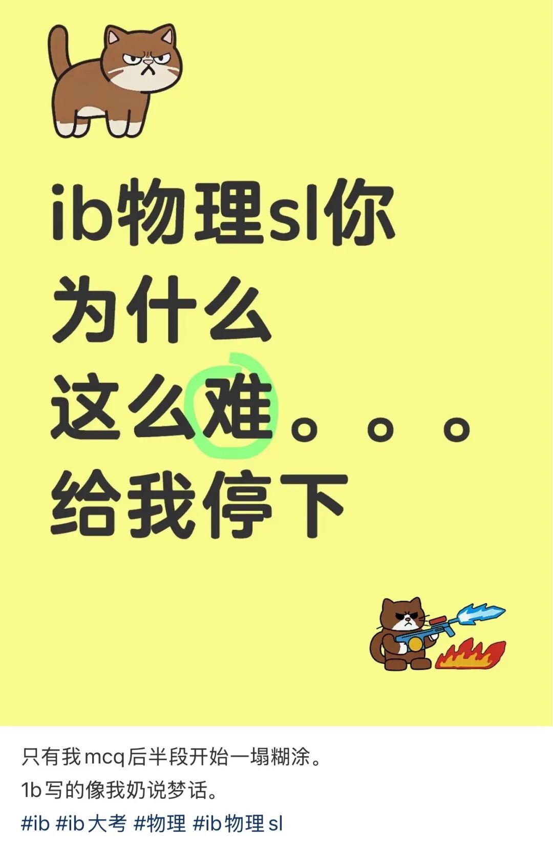 2025年IB大考难疯了！ 这个暑假IB小白们如何未雨绸缪？暑期冲刺辅导开启啦