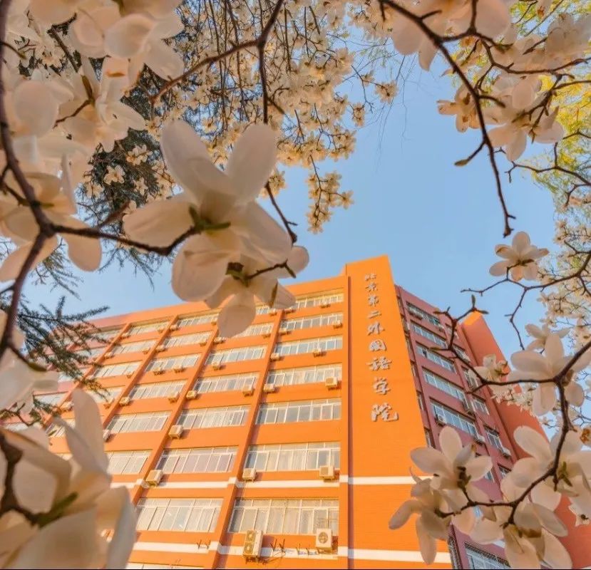 北二外中外合办 | 2025年北京第二外国语学院日本留学语言课程国际本科招生简章
