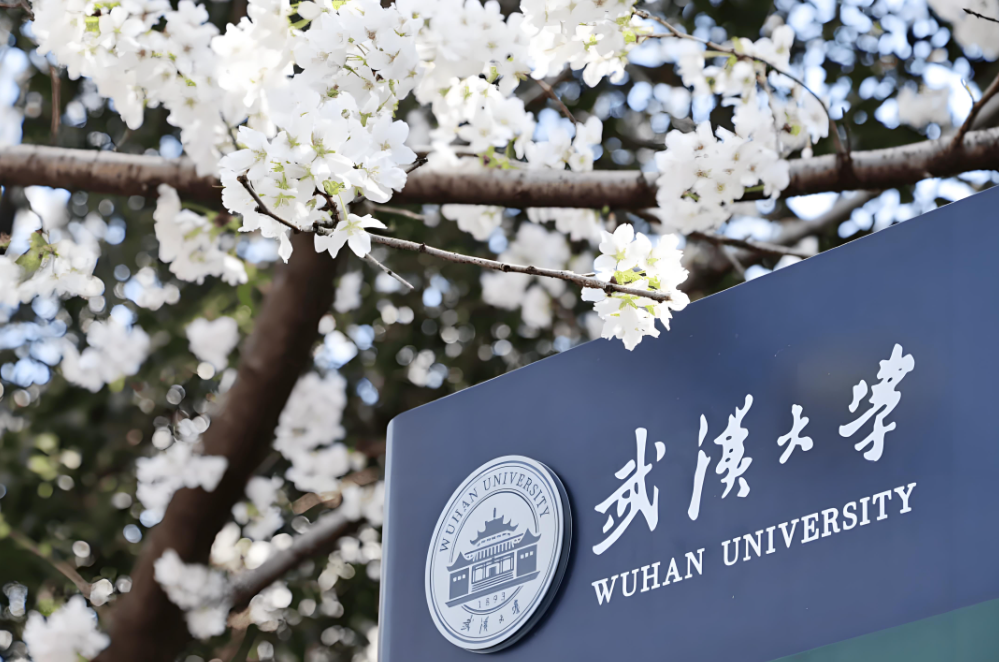 导师说 | 武汉大学优秀课题组分享