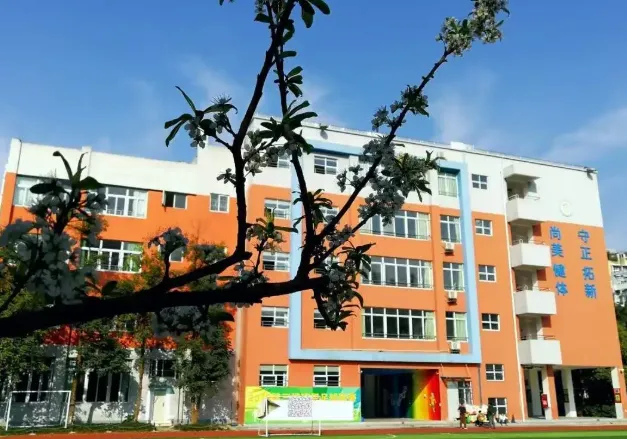 小学初中齐爆仓！分流&校区扩建来破局？