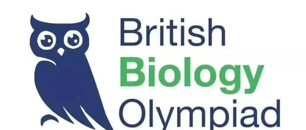 BBO2026竞赛规划来了 一文看懂BBO难点和备赛攻略！