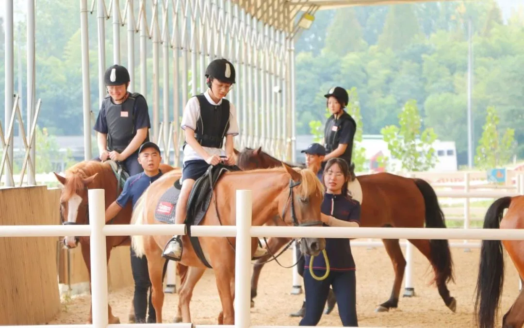 苏州香港DSE高中｜苏州市吴江区世恒学校香港DSE课程“港大班”2025年招生简章！