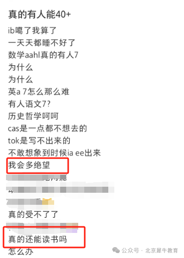 IG阶段如何给IB打基础？内附IB教材还有暑期王牌IB辅导课程