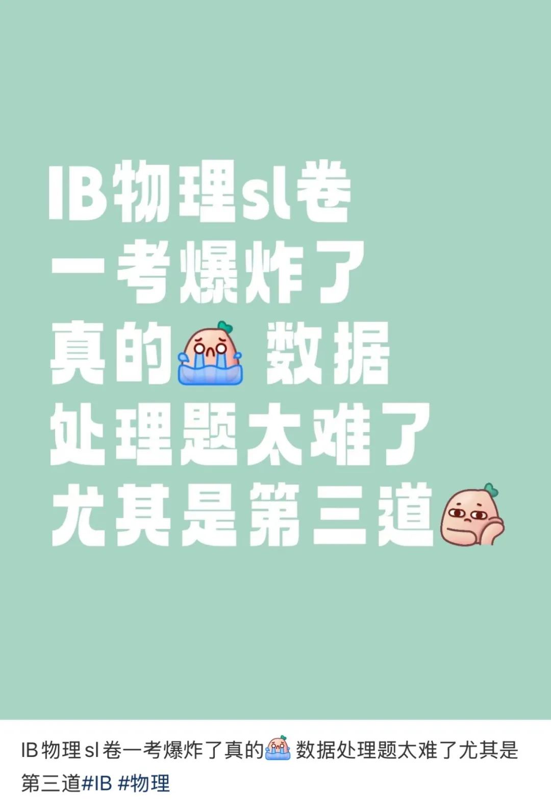 2025年IB大考难疯了！ 这个暑假，IB小白们如何未雨绸缪？暑期冲刺辅导开启啦~