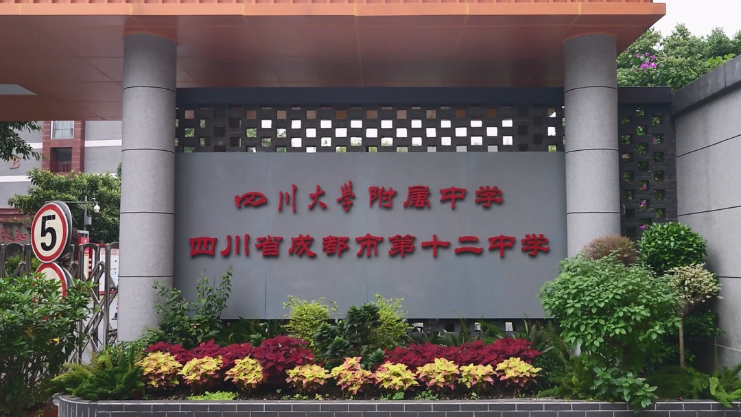 成都公立高中国际部有哪些？