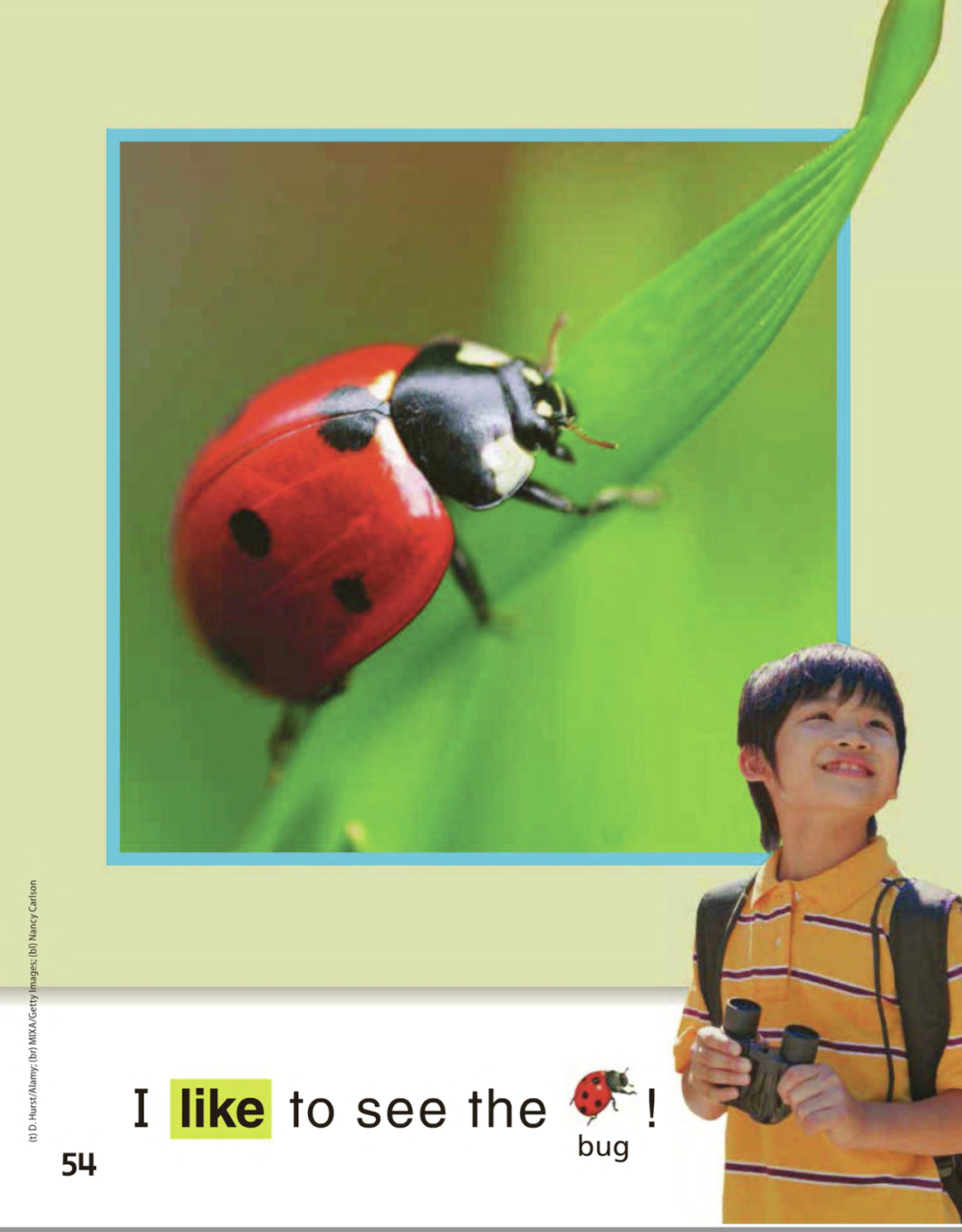 教材介绍｜美国主流小学广泛使用的英语语言艺术教材Wonders系列
