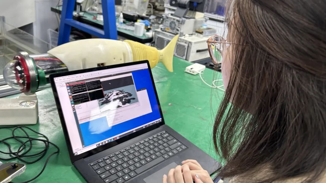 项目合集 | 2025暑假中科学研线下科研项目“计算机与人工智能相关专业”特辑