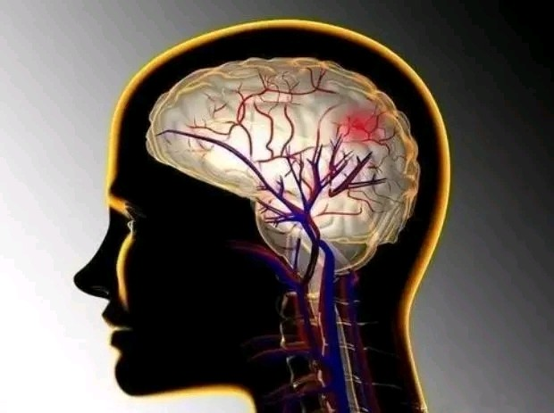 生物学课题 | 肠道细菌真能“操控”情绪和疼痛感？科学家用斑马鱼实验揭秘“肠-脑轴”新机制！