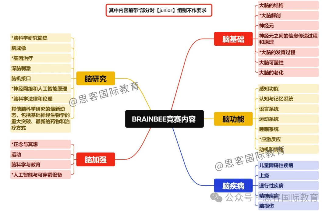 Brainbee脑科学参与人数创历史新高！新赛季如何应对挑战？
