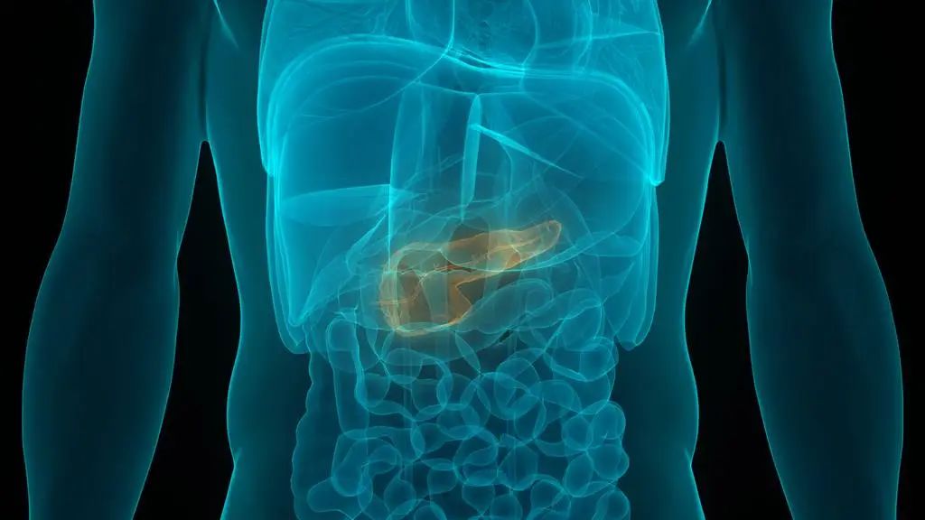 MIT科学家颠覆‘癌王’治疗难题！双靶点疗法有望让胰腺癌生存率翻倍