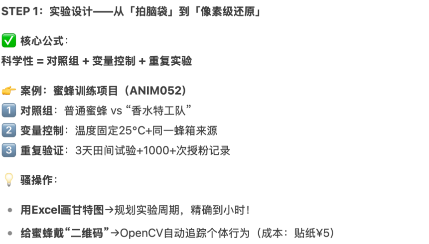 2025 ISEF全球总决赛：未来科学家的终极对决，期待下一个挑战的你！