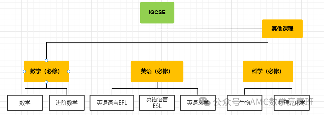 IGCSE课程体系要选几门课？遵循5大IGCSE选课建议错不了！