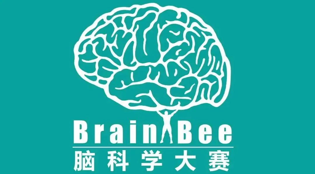 合适9-12年级学生必打的四大高含金量国际生物竞赛！