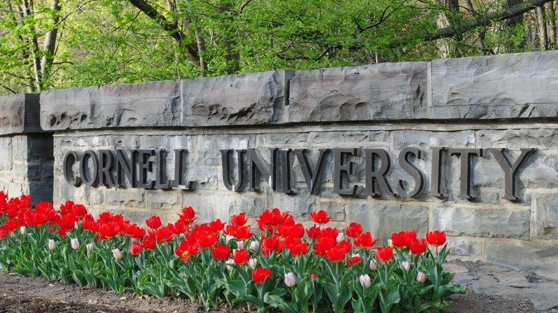 最适合中国留学生的美国大学，哈佛耶鲁斯坦福竟落榜？