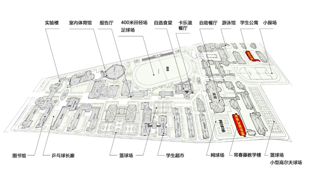 绿城常春藤2025年秋季招生简章！5月18日开放日报名中！