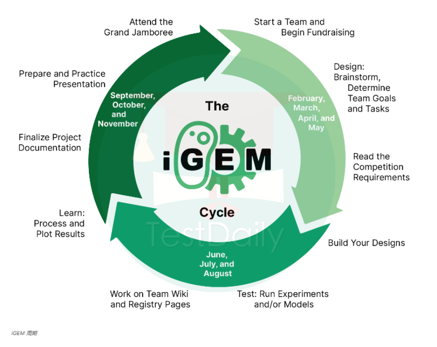 2025 iGEM竞赛注册报名快要截止！一文带你快速了解比赛流程！