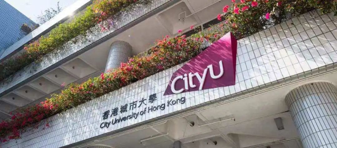 香港城市大学全奖博士招生 | Prof. Krysta(529)