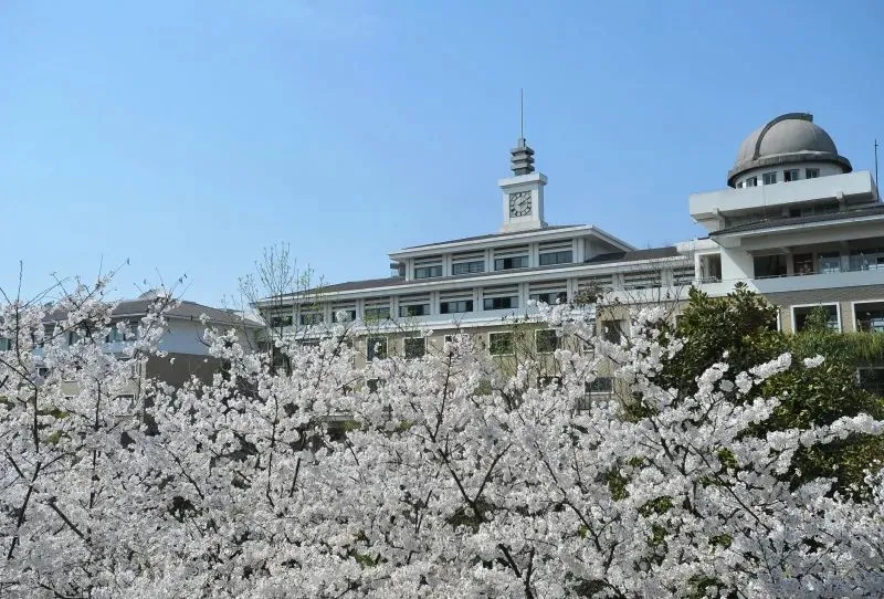 杭州公办国际部｜杭州7大公办国际部2025年招生细则出炉！