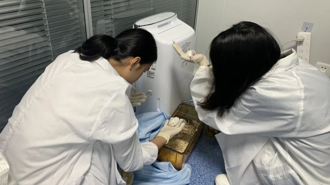 项目合集 | 2025暑假中科学研线下科研项目“生物医药相关专业”特辑
