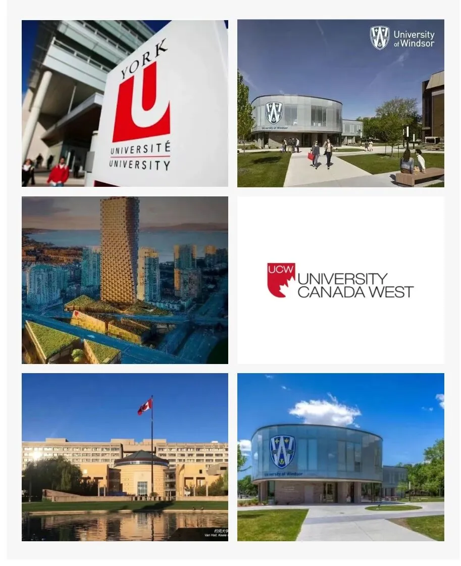 2025年西南财经大学1+3/2+2国际本科项目招生简章！