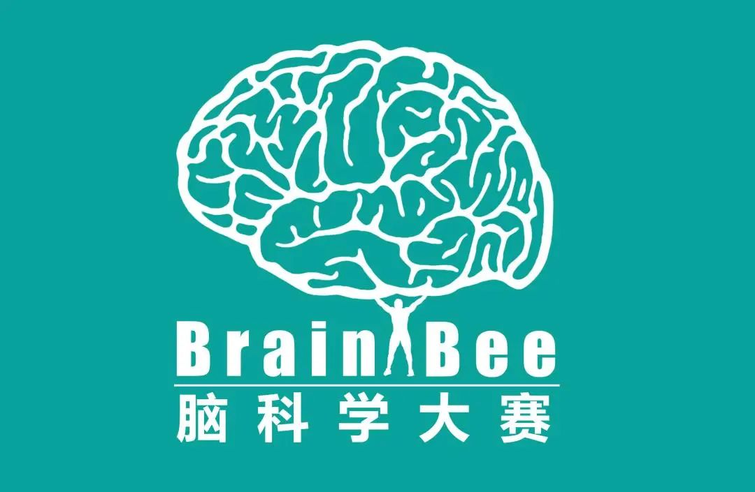 五大高含金量国际生物竞赛盘点！9-12年级这样选！